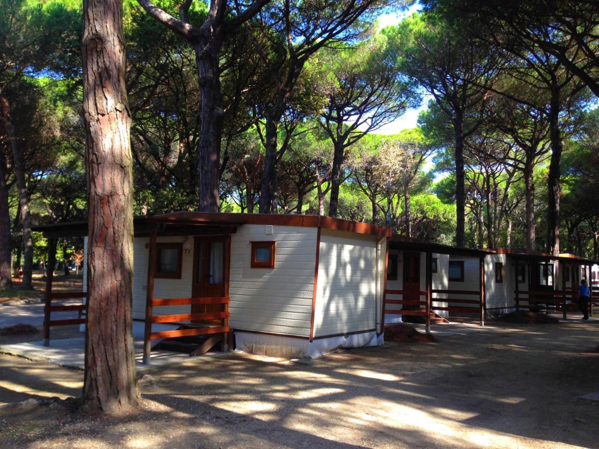 Buona Mobile Homes On Camping Mare E Pineta Lido di Spina Ngoại thất bức ảnh